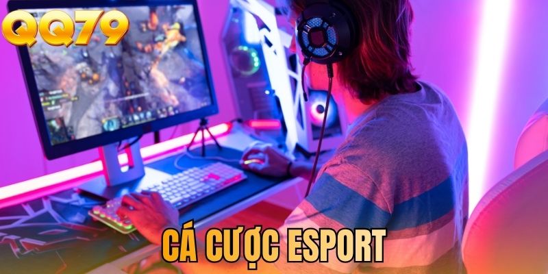 Cá cược esport
