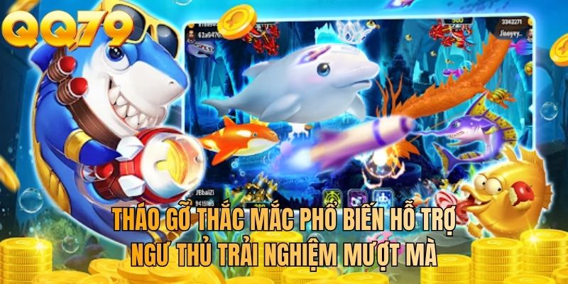 Tháo gỡ thắc mắc phổ biến hỗ trợ ngư thủ trải nghiệm mượt mà